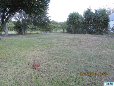 209 Cypress Ave, Troy, TX 76579 - photo 3