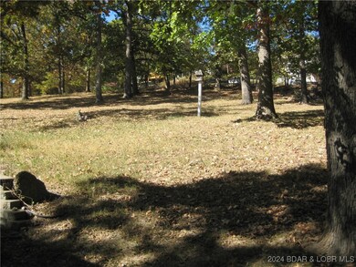 Huge Back Yard