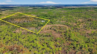 2021 Sabal Palm Rd, Naples, FL 34117 - photo 5