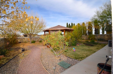 14309 Desert Cactus Dr, Horizon City, TX 79928 - photo 6