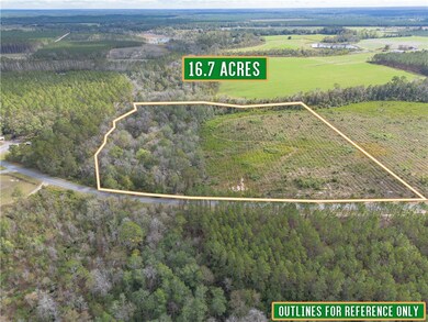 Tract #6 - 0 Saddleclub Rd, Hoboken, GA 31542 - photo 4