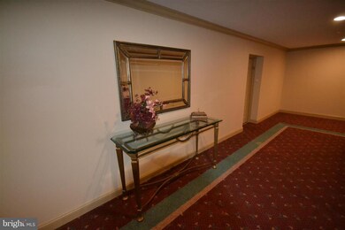 3011 Fallstaff Rd unit 301A, Baltimore, MD 21209 - photo 5