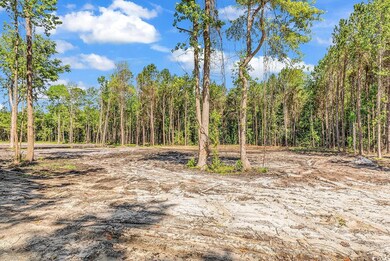 TBB4 Coats Rd unit Lot 4, Loris, SC 29569 - photo 6