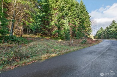 0 Knights Bridge Rd unit NWM2455713, Ariel, WA 98603 - photo 2