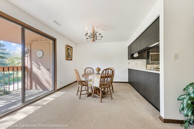 15W341 81st St unit 1-4, Burr Ridge, IL 60527 - photo 5