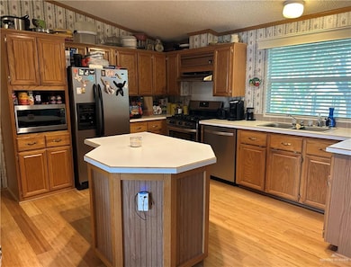 Kitchen featuring light hardwood / wood-style floors, a center island, and stainless steel appliances