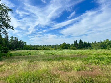 Lot #37 Hewett Rd, Dover-Foxcroft, ME 04426 - photo 2