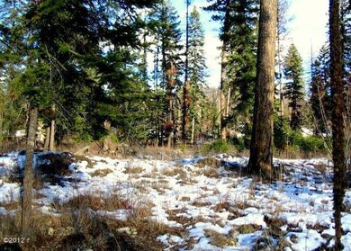 176 Crescent Moon, Bigfork, MT 59911 - photo 3