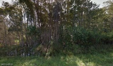 831 Dudley Ave S, Lehigh Acres, FL 33974 - photo 4