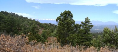 0 Vista Dr W unit 58 22-403, Trinidad, CO 81082 - photo 4