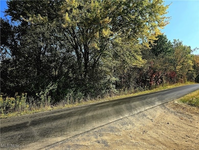 10745 Leffingwell Rd, North Benton, OH 44449 - photo 6