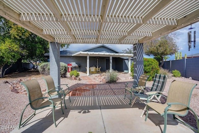 45-Back yard
