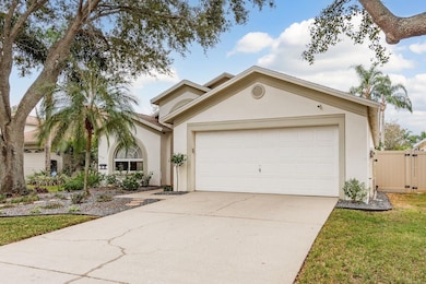 3304 Red Mulberry Ct, Tampa, FL 33618 - photo 7