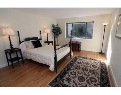 159 Concord Ave unit 2D, Cambridge, MA 02138 - photo 6