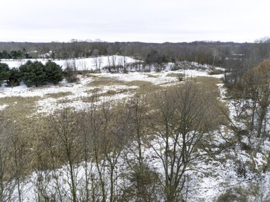 6233 Alaska Ave SE, Alto, MI 49302 - photo 4