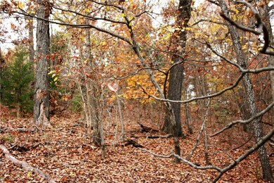 14857 E Highway 264, Lowell, AR 72745 - photo 4