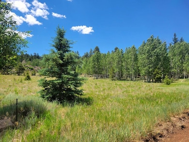 4175 Sundance Kid Ln, Duck Creek Village, UT 84762 - photo 2