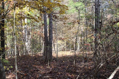 1 Gosser Ridge Spur, Russell Springs, KY 42624 - photo 6