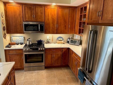 208 Pine St unit 21, Amherst, MA 01002 - photo 2