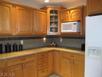 2 Oliver Ct, Downs, IL 61736 - photo 6