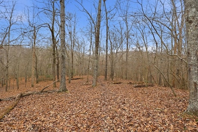 5.01 ac Ada St, Blue Ridge, GA 30513 - photo 6