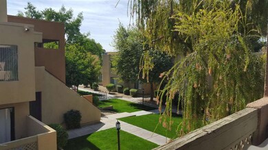 VIEW FROM FRONT PORCH