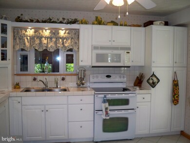 40 Trout Ln, Cabins, WV 26855 - photo 4