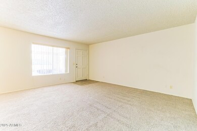 4401 E Contessa St unit 2, Mesa, AZ 85205 - photo 5