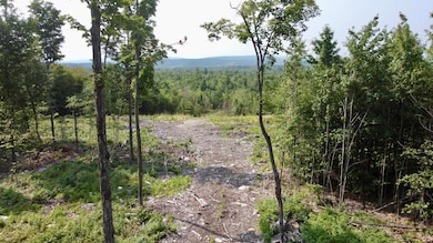 1078 General Leroy Manor Rd, Dannemora, NY 12929 - photo 5