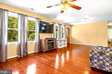 7141 Eggbornsville Rd, Rixeyville, VA 22737 - photo 5