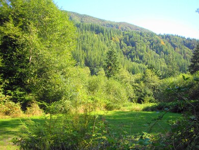 17525 Crest View Lane Acreage - Nehalem