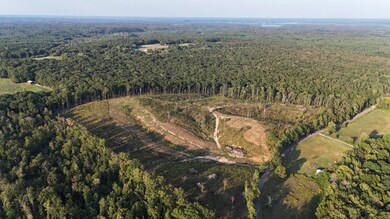 00 Flatwoods Rd, Camden, TN 38320 - photo 6