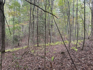 Lot 14 Pine Grove Dr, Epworth, GA 30541 - photo 5