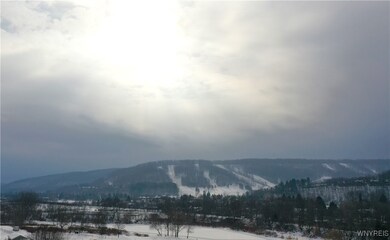 48 Mill St, Ellicottville, NY 14731 - photo 6