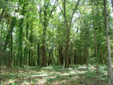 LEVEL WOODED HOMESITE!