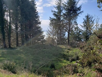 Lot 400 Maxwell Mountain Rd, Oceanside, OR 97134 - photo 4