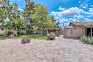 Backyard2