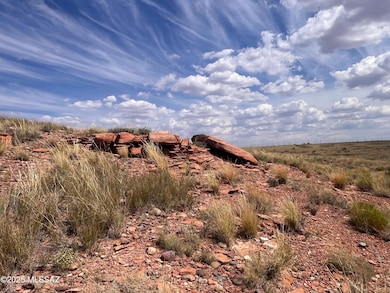 6260 Snowflake-Woodruff Rd, Snowflake, AZ 85937 - photo 4