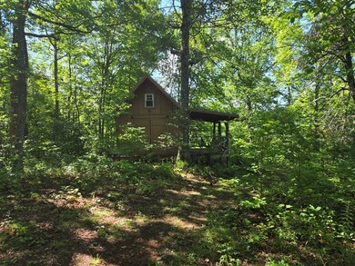 000 Wedgewood Cove Rd, Sylva, NC 28779 - photo 7