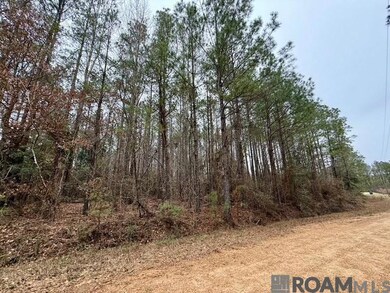 0 Maypop Ln unit 2025003555, Meadville, MS 39653 - photo 6