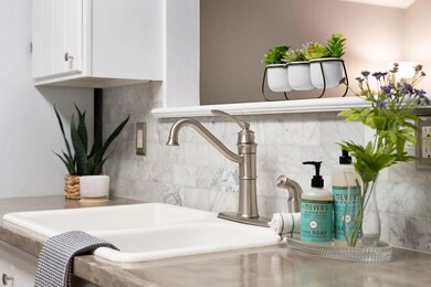 Ceramic Sink
