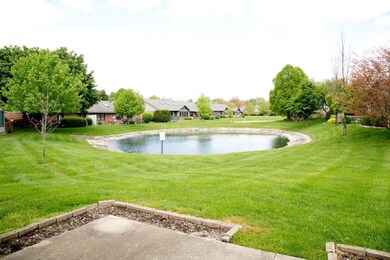View Out Back of Condo