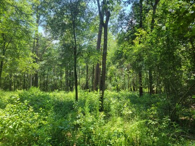 Cleared Area