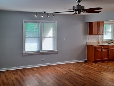 21 W Hawley St, Mundelein, IL 60060 - photo 3