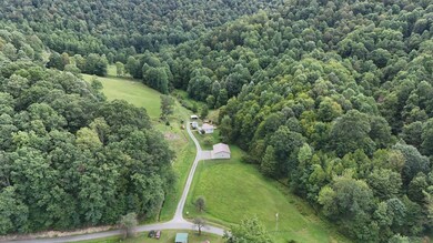 674 Laurel Fork Rd, Webster Springs, WV 26288 - photo 2