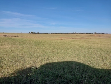 3350 Farm To Market 587, de Leon, TX 76444 - photo 5