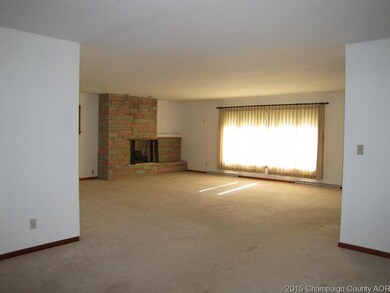 400 N Niles Ave, Tuscola, IL 61953 - photo 6
