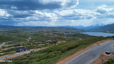 dji_fly_20250528_160402_143_174847120728
