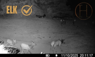 TBD Brady Moorefield Rd, Brady, NE 69123 - photo 3