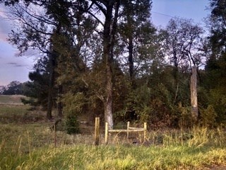 860 Gun Club Rd, Texarkana, TX 75501 - photo 4